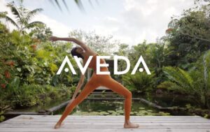 Commission Salon and Spa Development