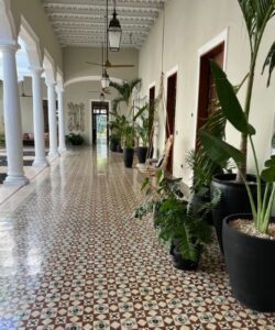 Spa Development Consultant